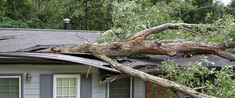 Storm Insurance Restoration in Fairfax