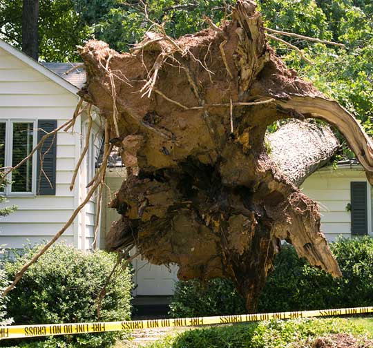 Storm Damage Restoration Fairfax Virginia